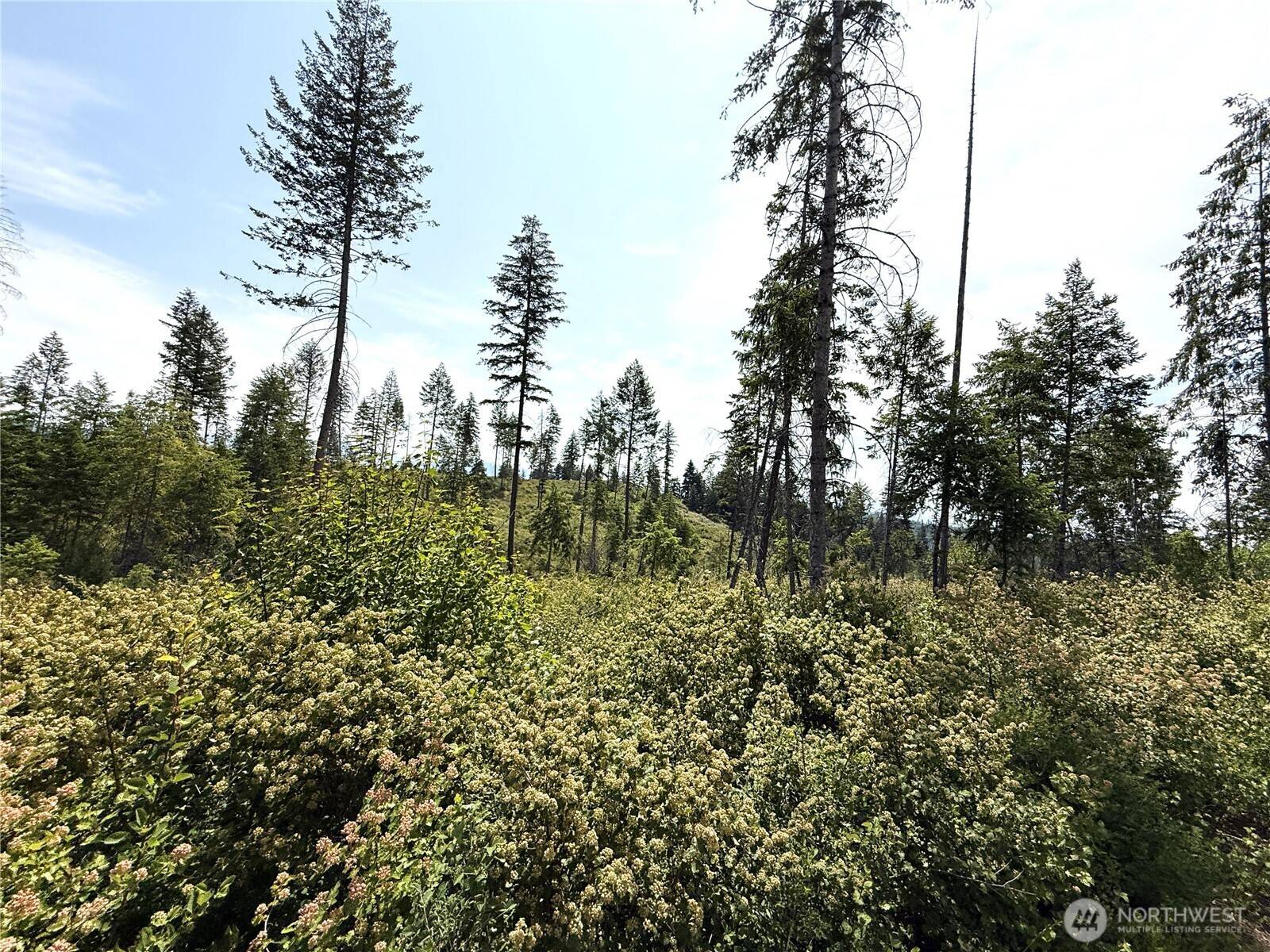 Curlew, WA 99118,0 Lot 1 Rockabye LN