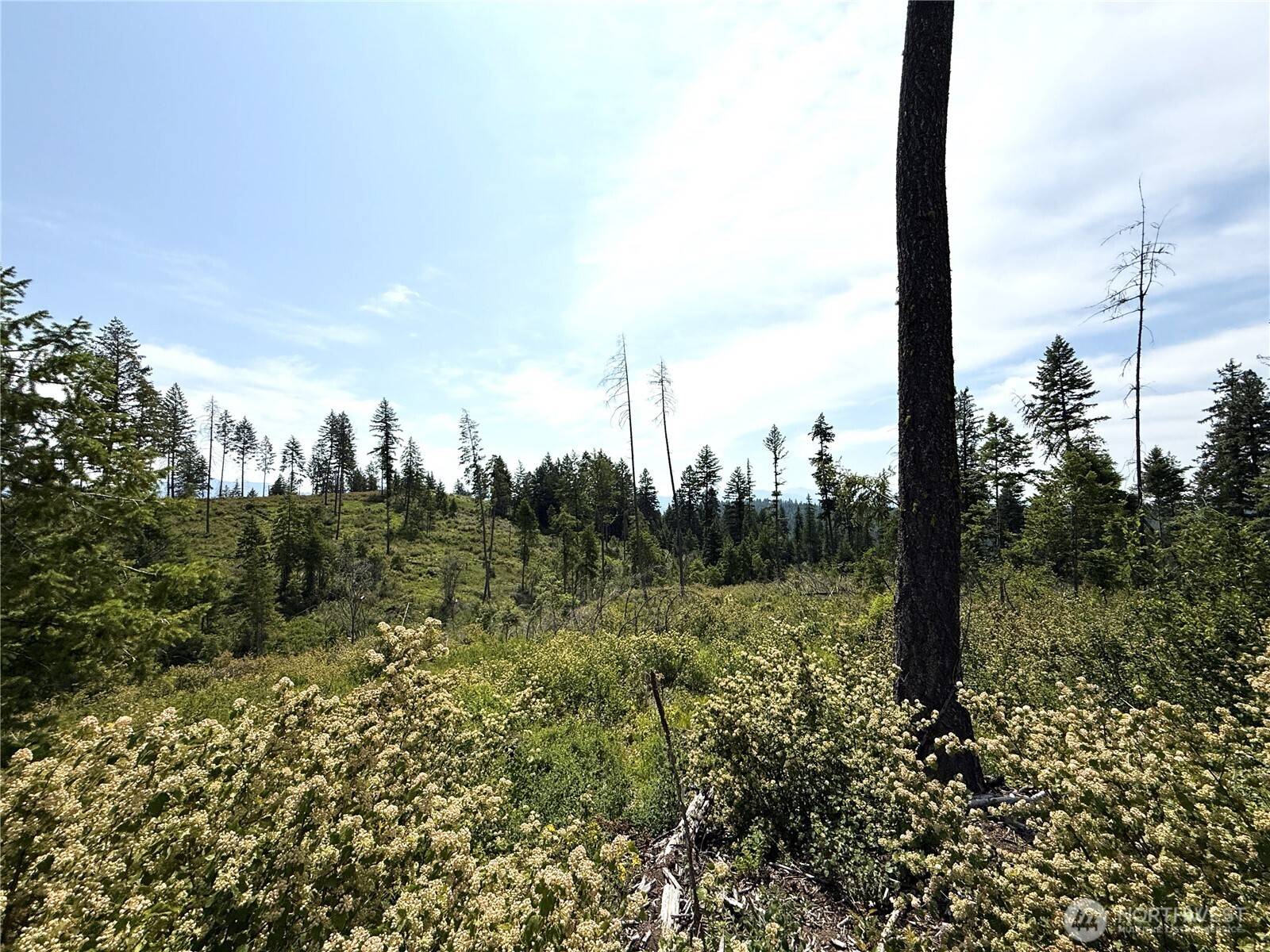 Curlew, WA 99118,0 Lot 1 Rockabye LN