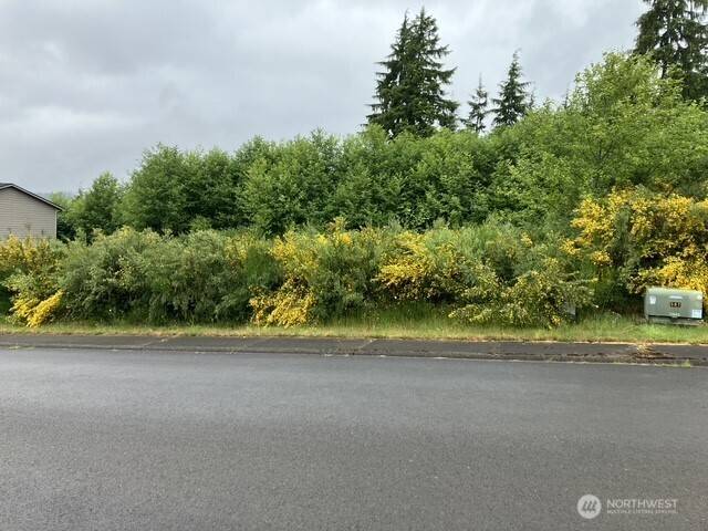 Hoquiam, WA 98550,3261 Sanderling DR