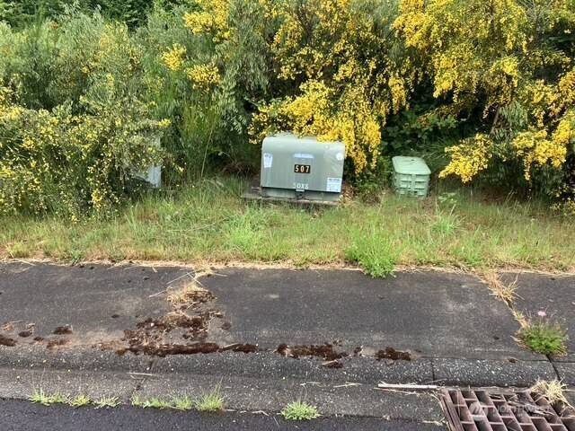 Hoquiam, WA 98550,3261 Sanderling DR