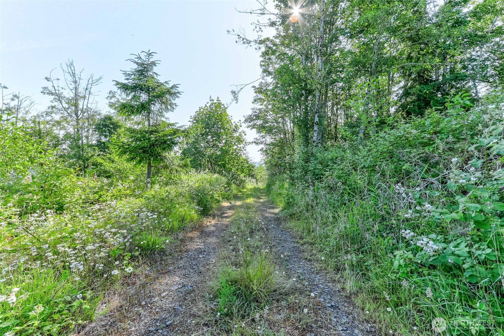 Kelso, WA 98626,0 Lot Parcel WD1001043