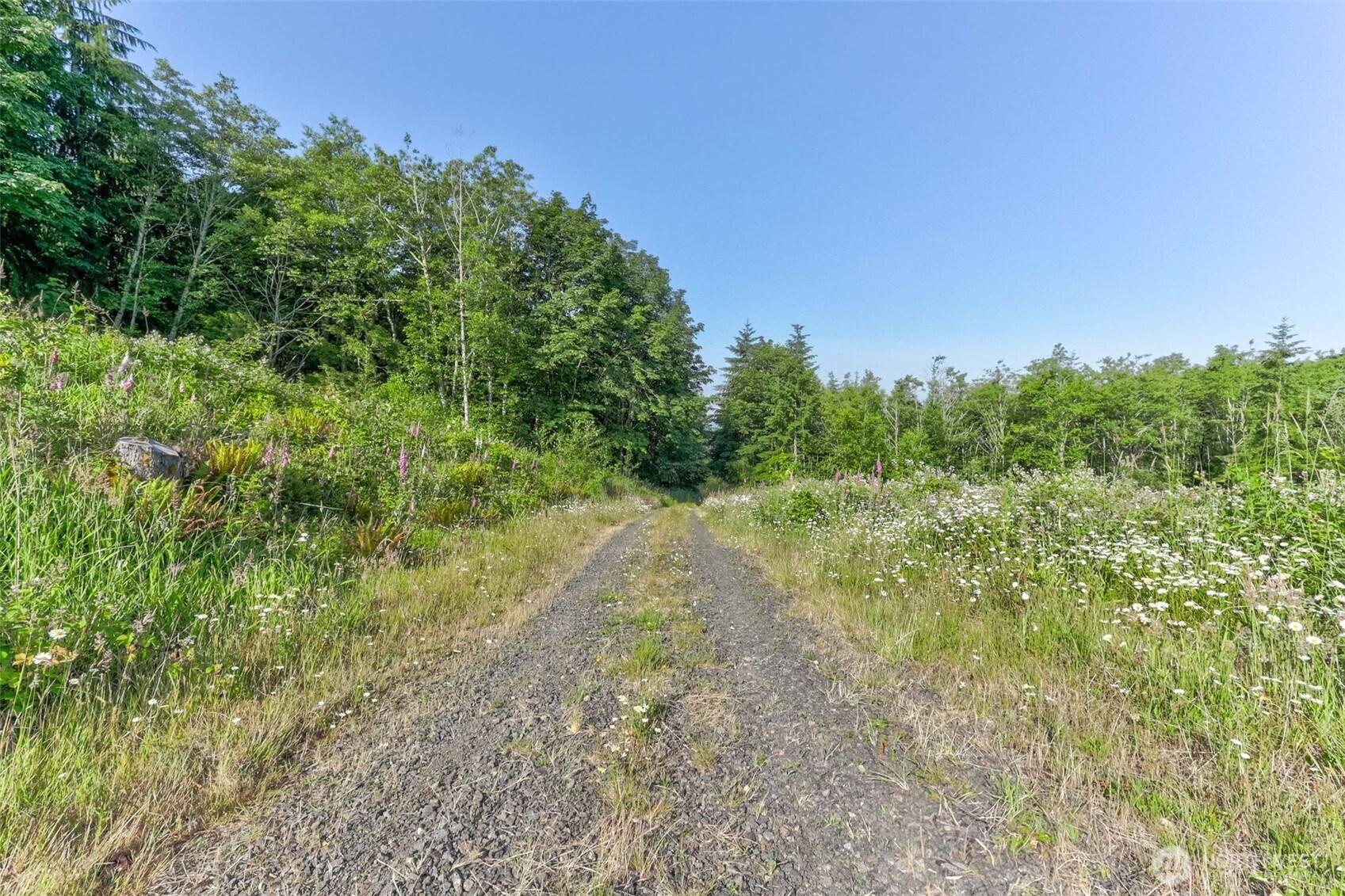 Kelso, WA 98626,0 Lot Parcel WD1001043