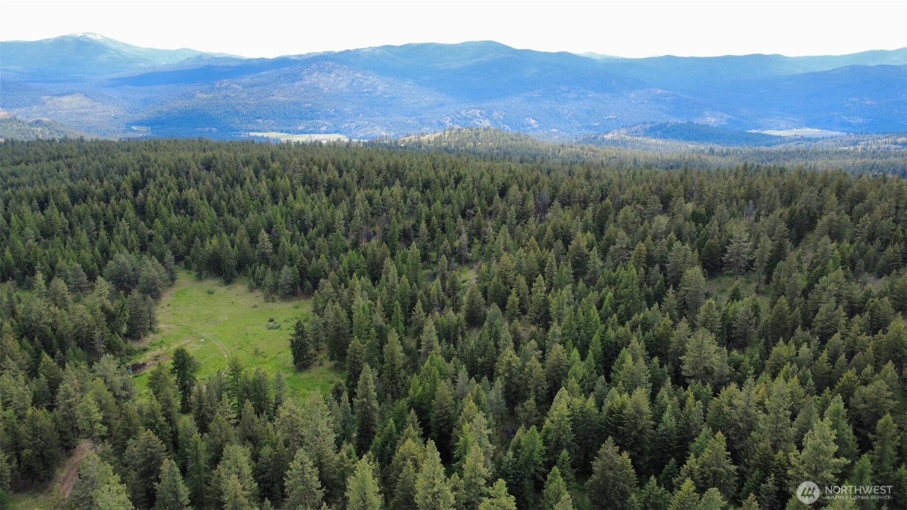 Tonasket, WA 98855,0 TBD Blue Meadow Rd