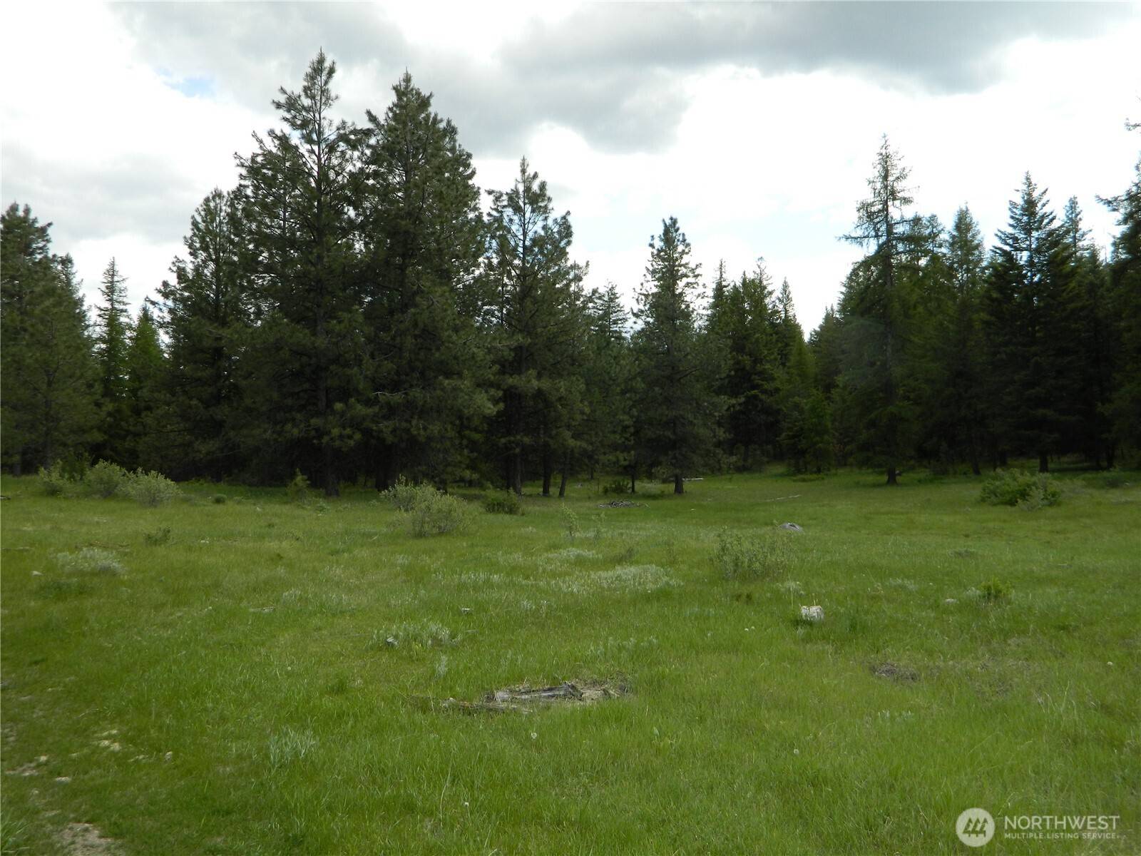 Tonasket, WA 98855,0 TBD Blue Meadow Rd