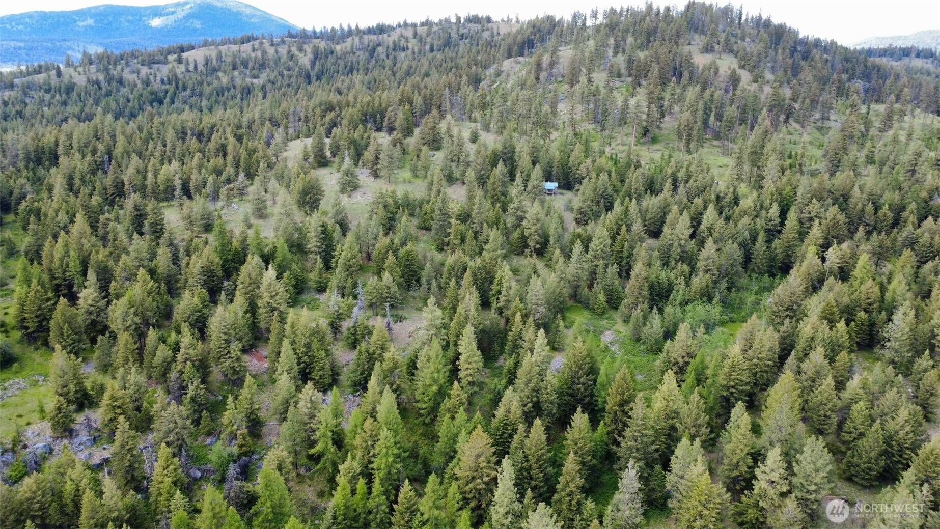 Tonasket, WA 98855,0 TBD Blue Meadow Rd
