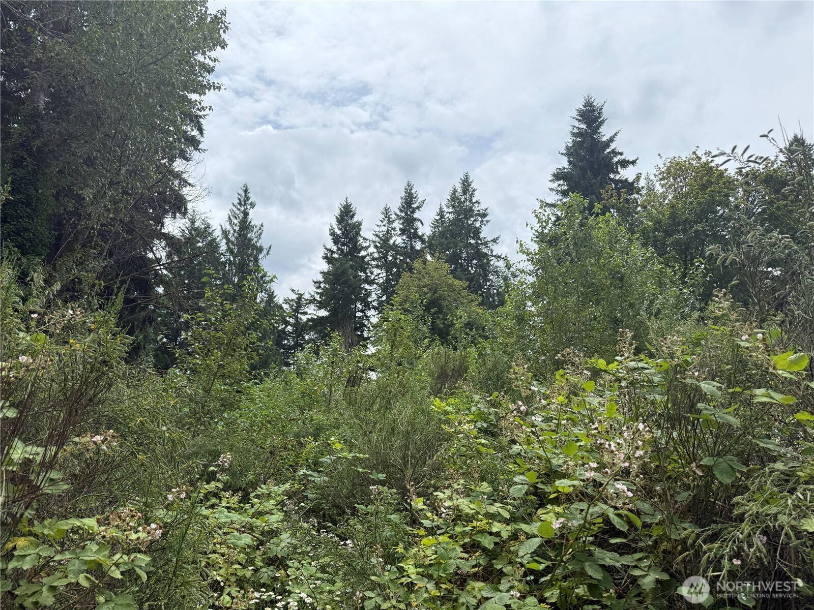 Auburn, WA 98092,3219 Auburn Way S