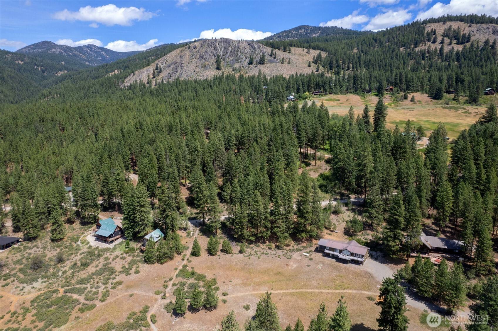 Winthrop, WA 98862,58 Homestead RD