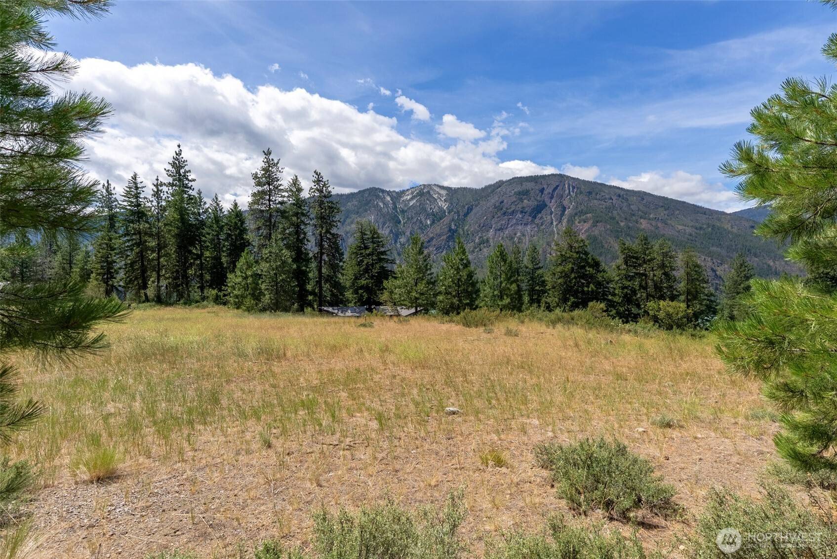 Winthrop, WA 98862,58 Homestead RD