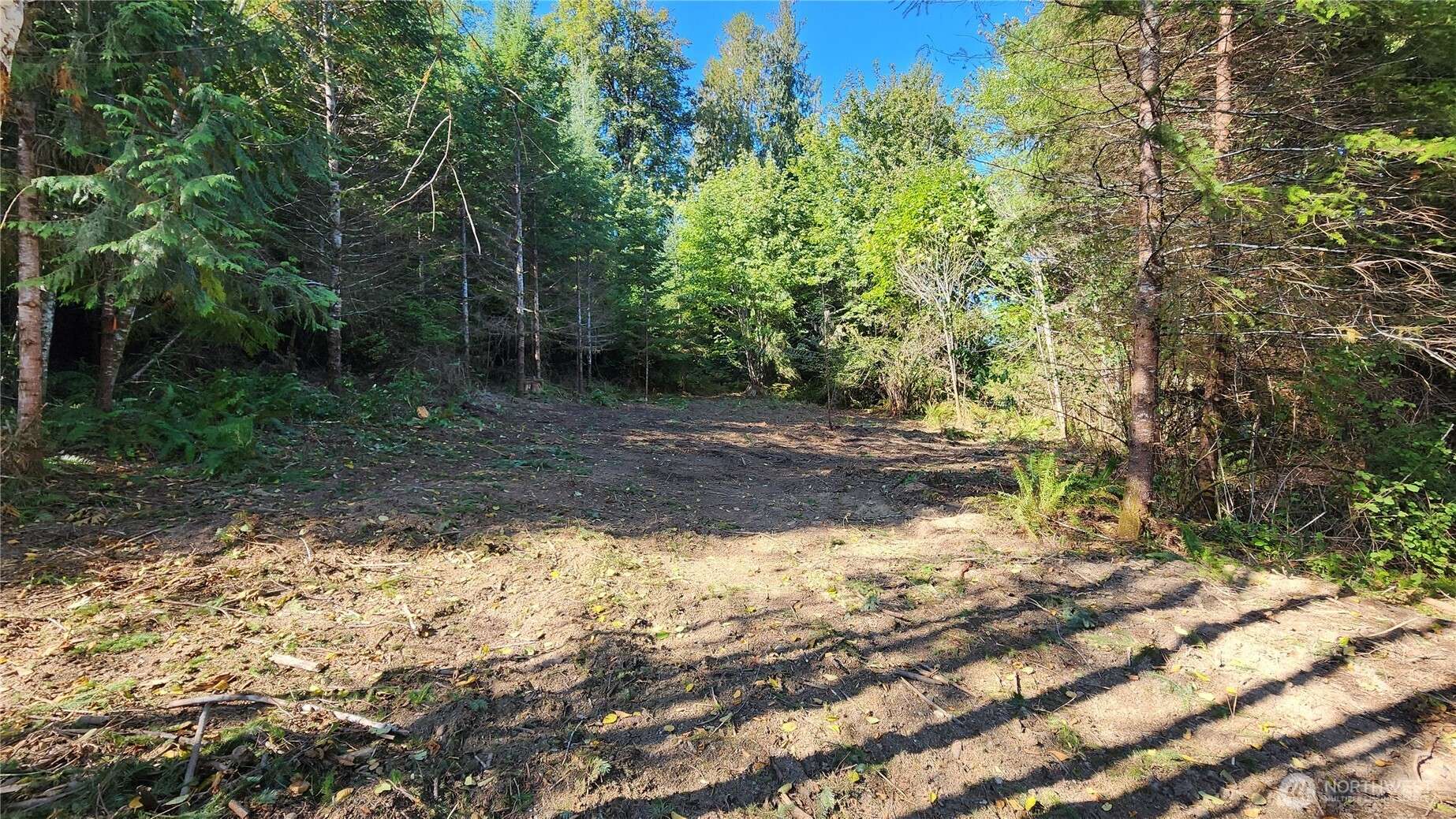 Olympia, WA 98502,5742 Duane LN NW