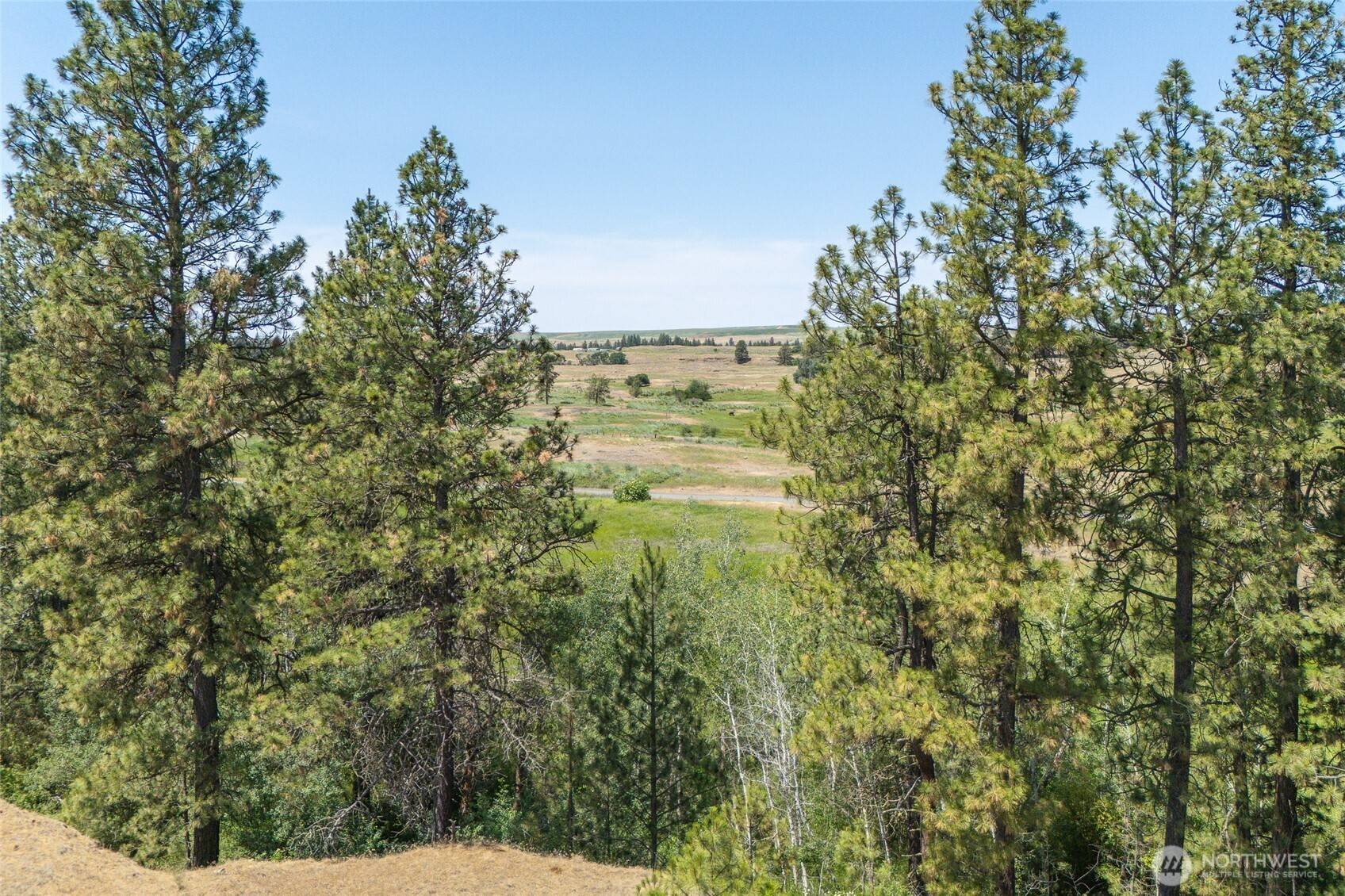 Cheney, WA 99004,36000 S Bootstrap Ln #Lot C