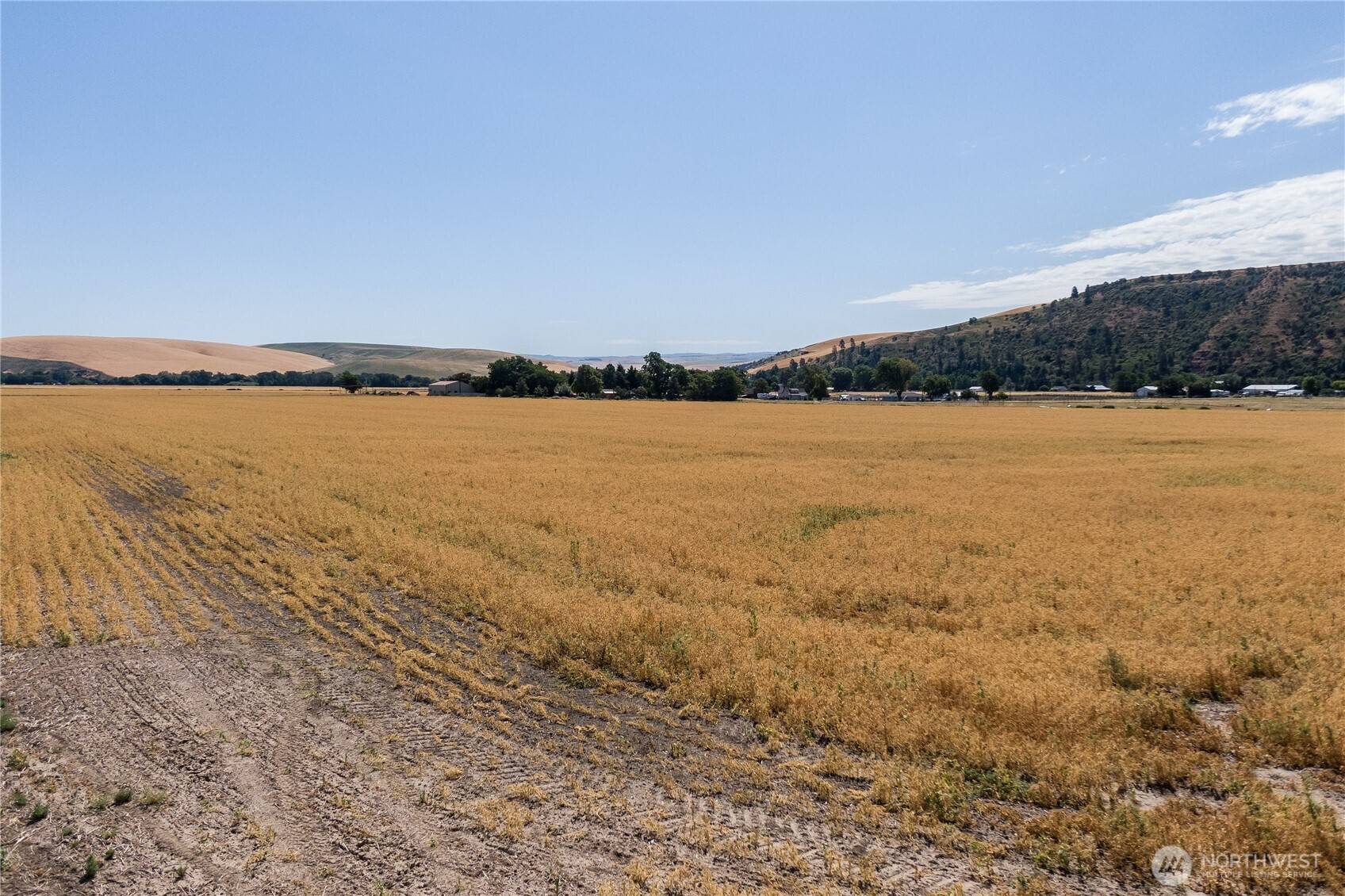 Waitsburg, WA 99361,199 Taggart RD