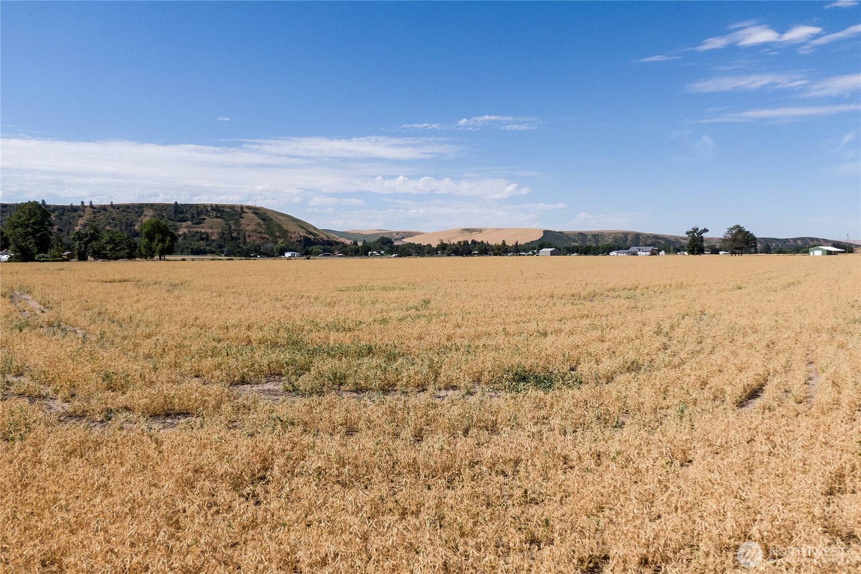 Waitsburg, WA 99361,199 Taggart RD
