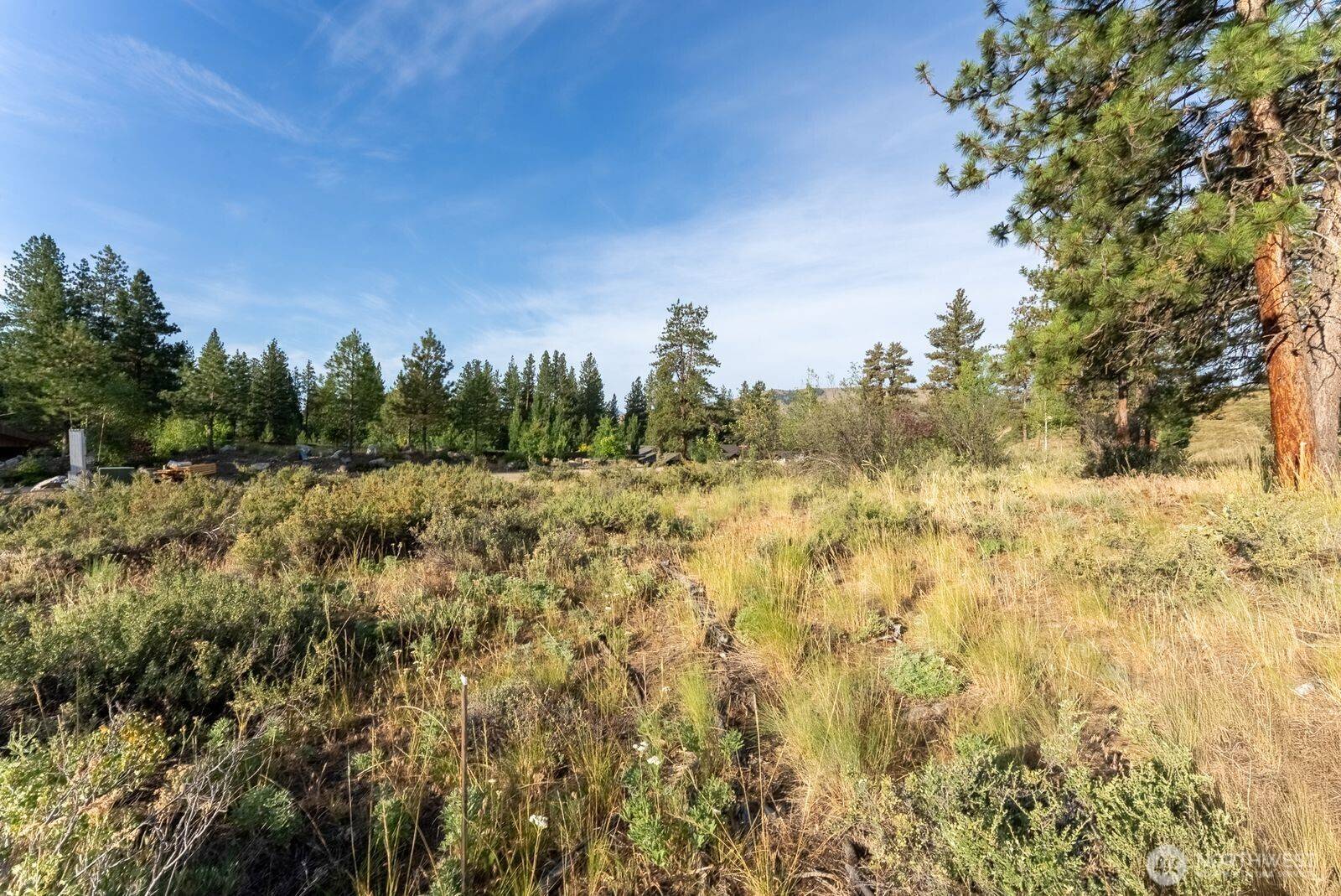 Winthrop, WA 98862,615 Pine LOOP