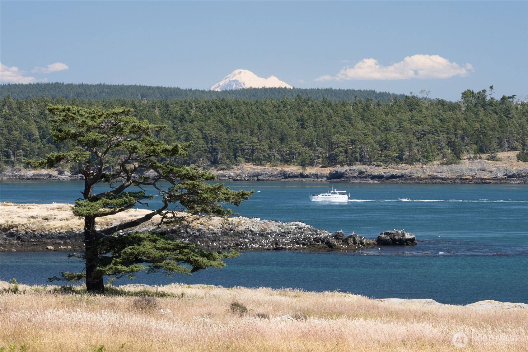 Friday Harbor, WA 98250,125 Lighthouse Lane