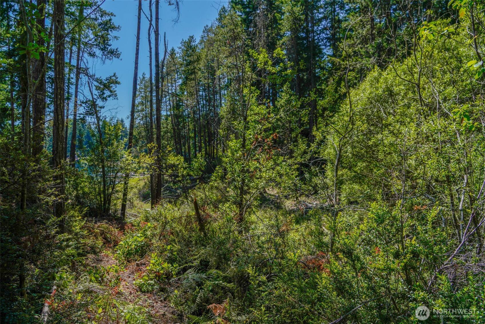 Tahuya, WA 98588,691 NE Lakeshore DR S