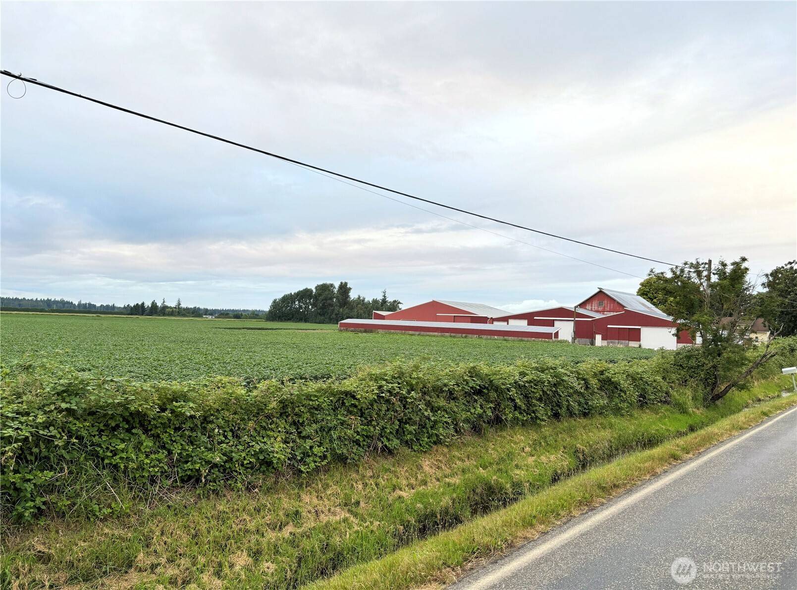 Lynden, WA 98264,0 Double Ditch RD
