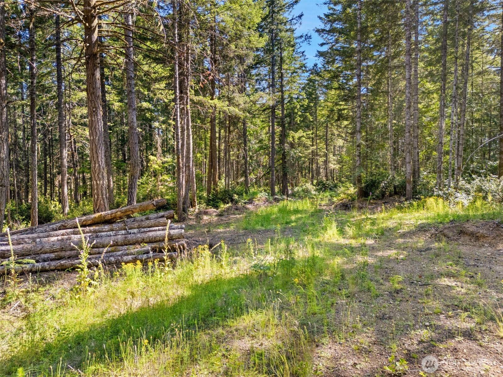 Grapeview, WA 98546,0 TR 4 E Mason Lake RD