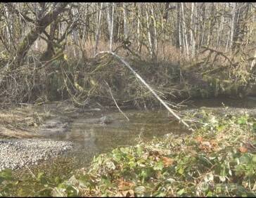 Rockport, WA 98237,0 Sauk RD