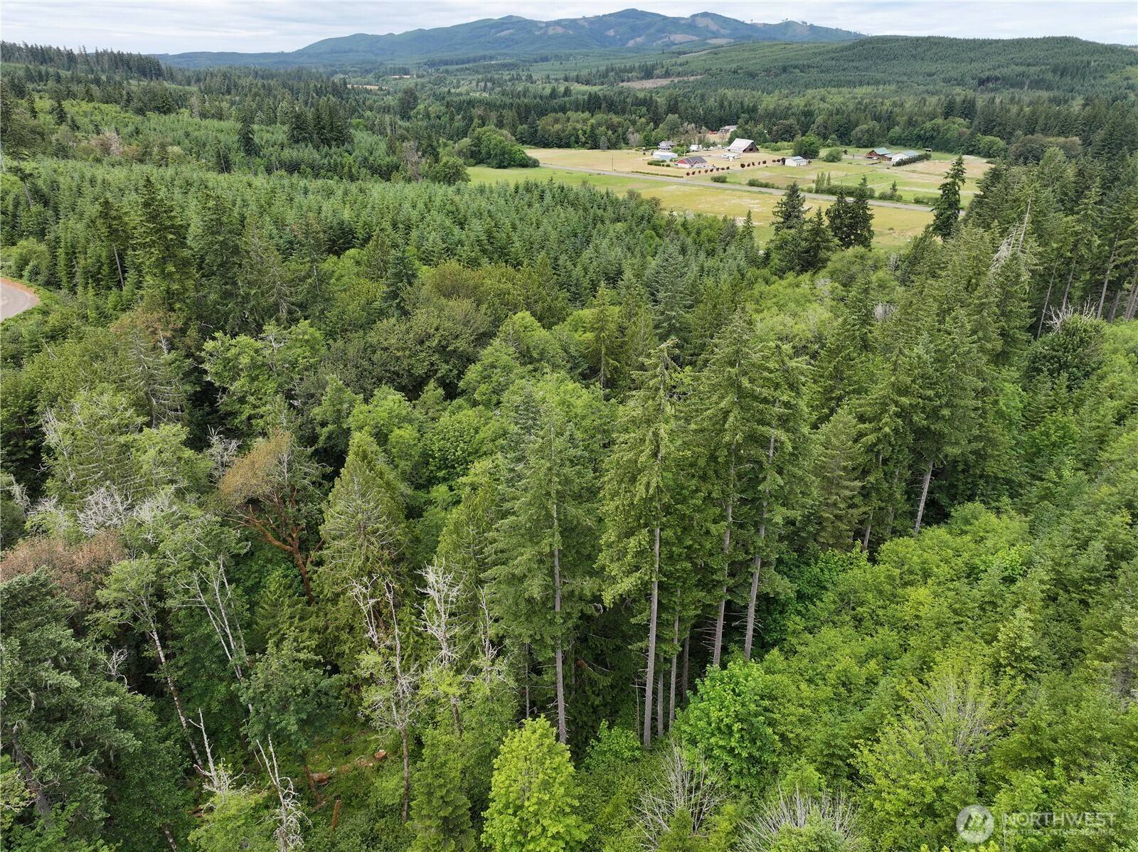 Chehalis, WA 98572,0 Hope Creek RD