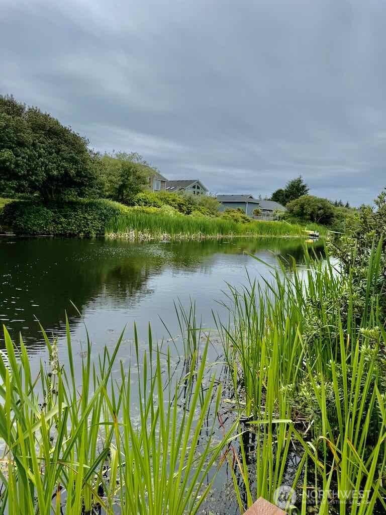Ocean Shores, WA 98569,311 Cockle ST SW