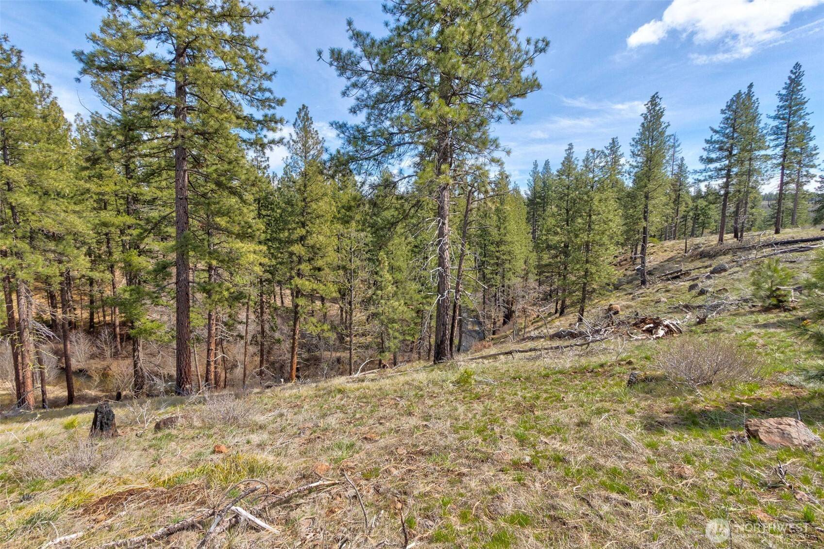 Goldendale, WA 98620,0 Box Canyon RD