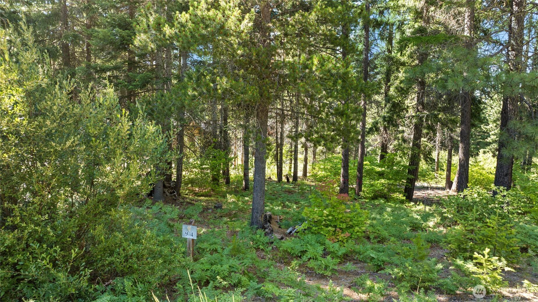 Cle Elum, WA 98922,131 Goat Creek LN