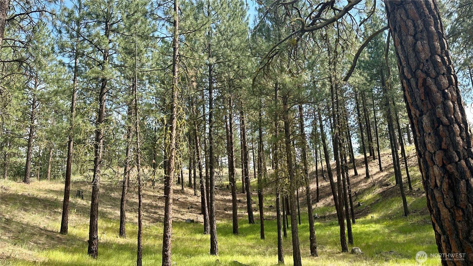 Winthrop, WA 98862,98 Larkspur DR