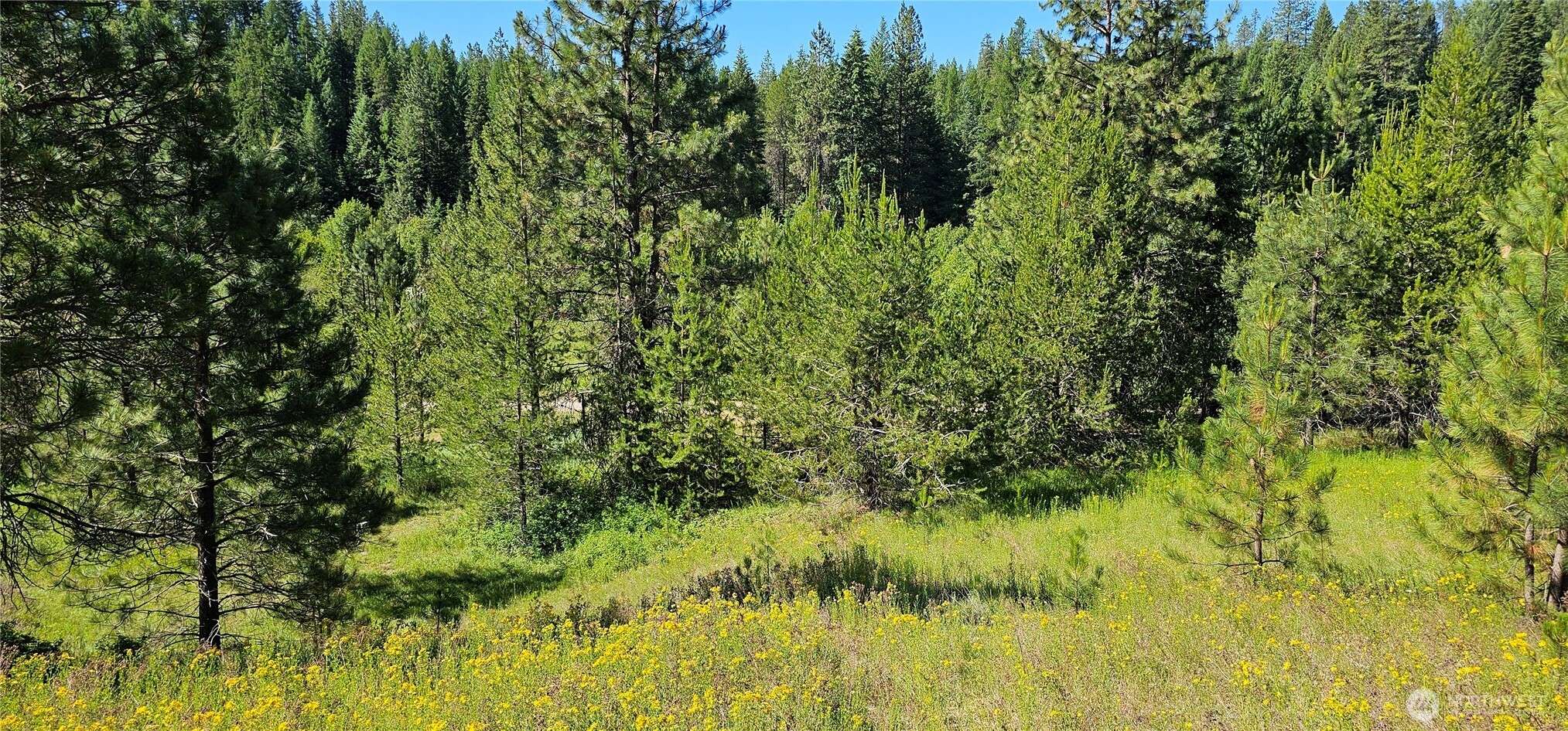 Springdale, WA 99173,5 XXX Olinger RD