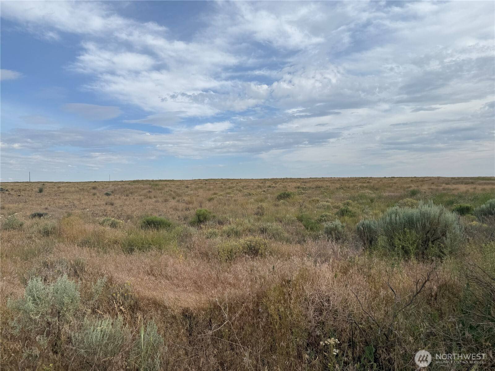 Odessa, WA 99159,0 Black Rock & Lessor RD