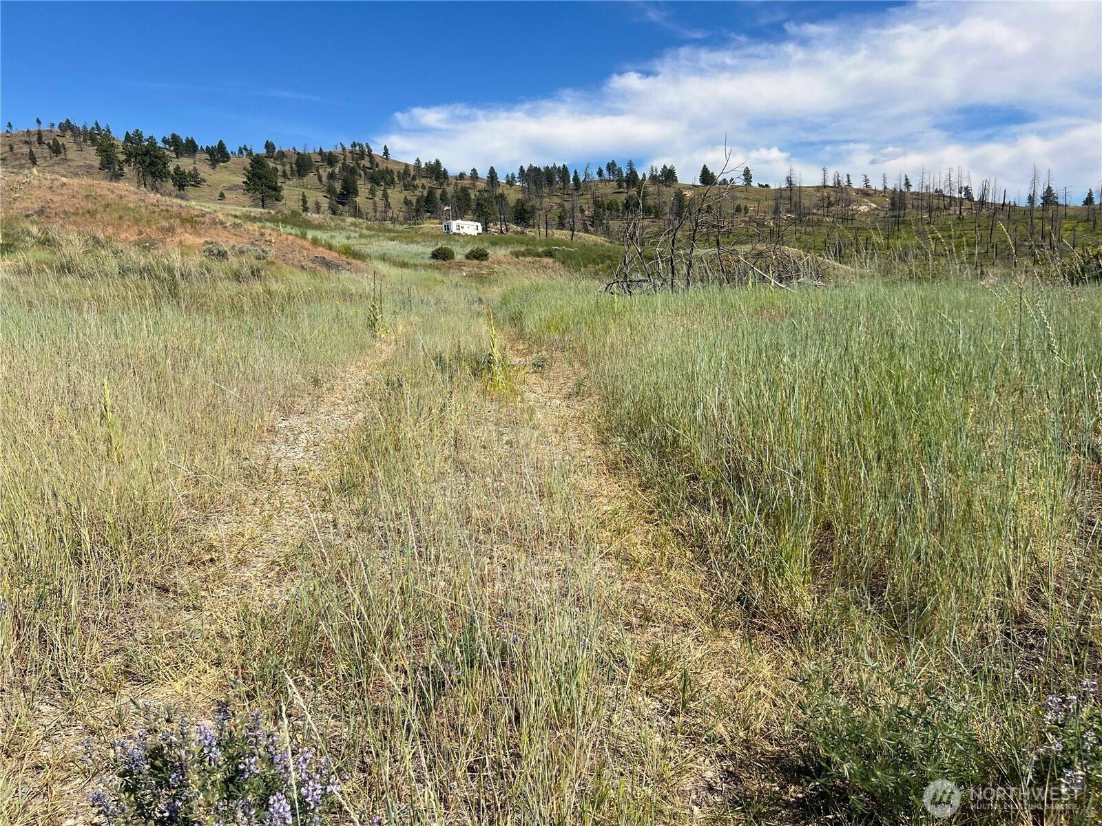 Oroville, WA 98844,0 Lot 12 Lone Spur RD