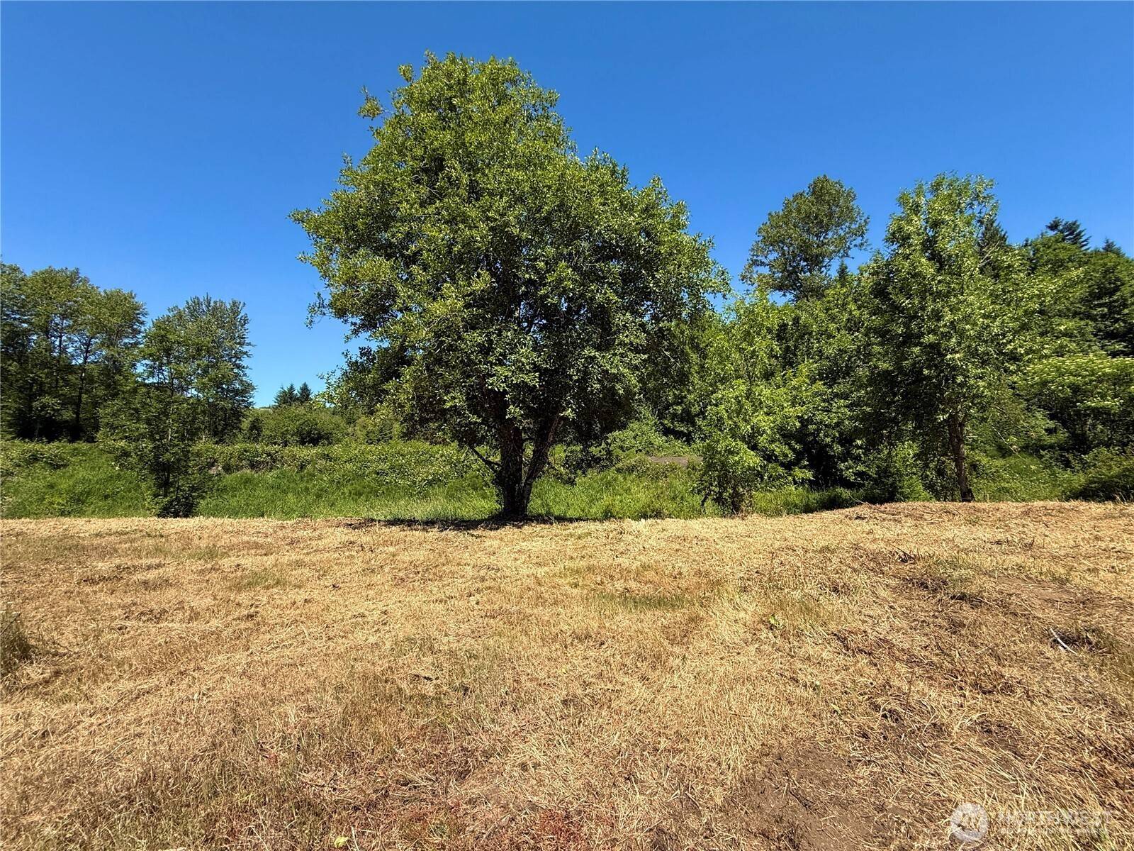 Centralia, WA 98531,127 Sawall #A