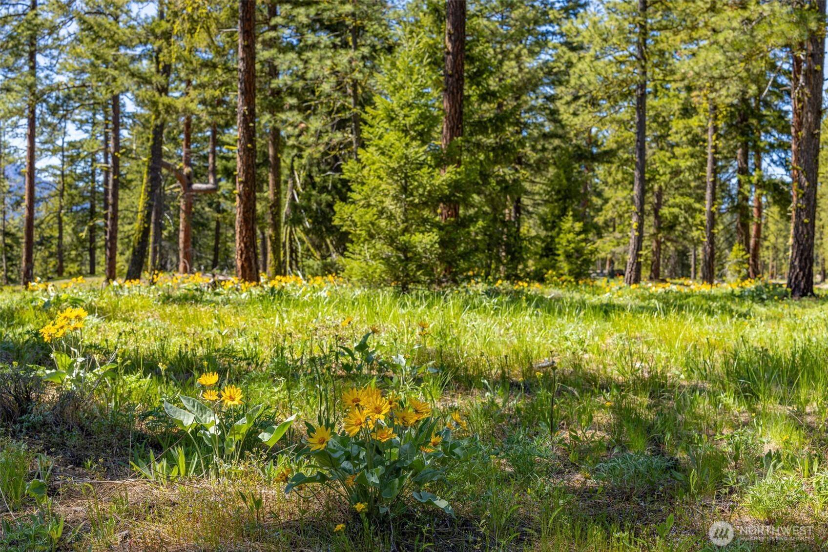 Cle Elum, WA 98922,141 Plateau LOOP