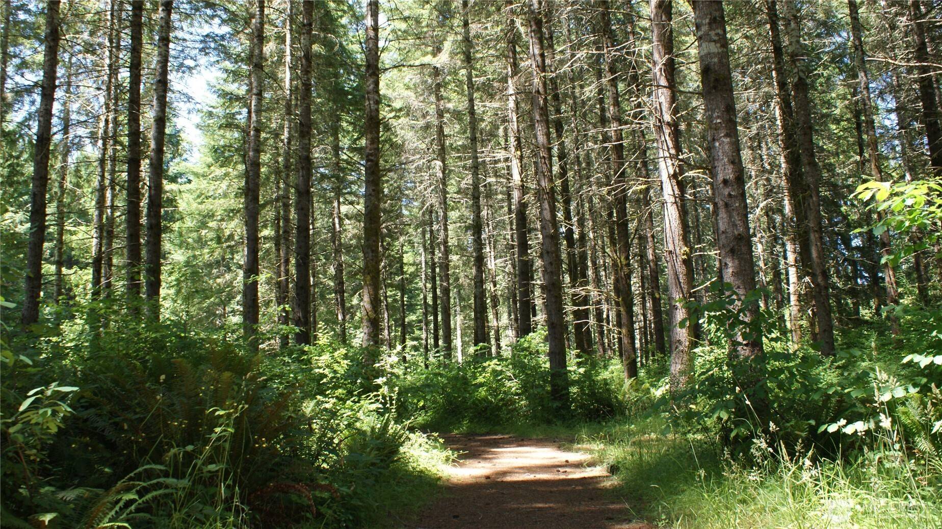Centralia, WA 98531,0 Lincoln Creek RD