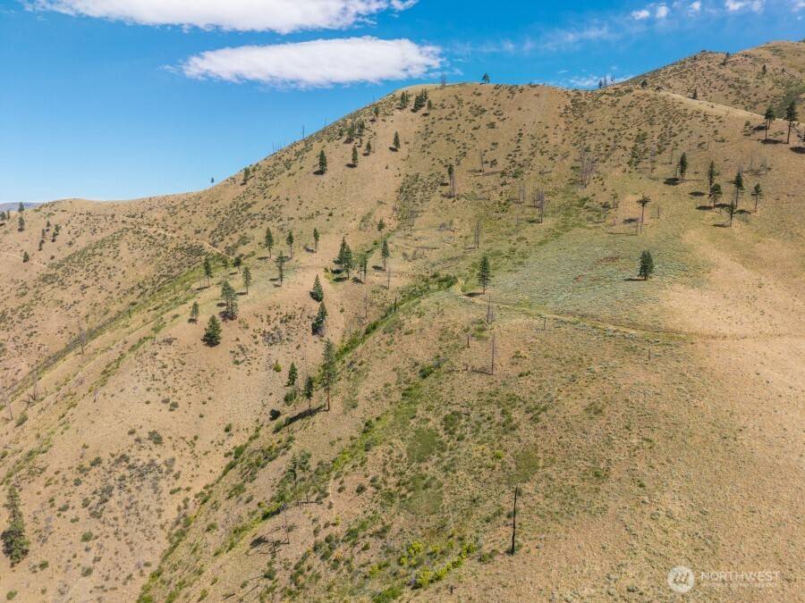 Entiat, WA 98822,1 Lot Mills Canyon RD