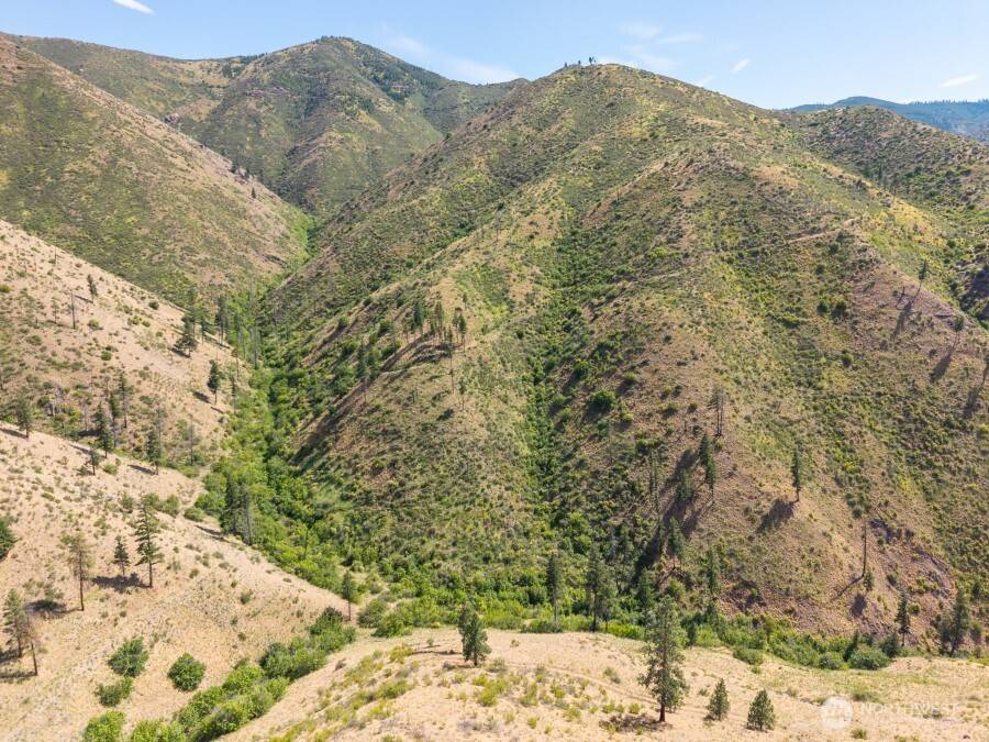 Entiat, WA 98822,4 Lot Mills Canyon RD