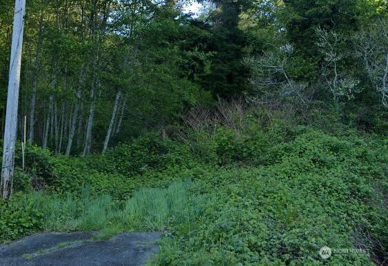 Hoquiam, WA 98550,0 Cosgrove ST
