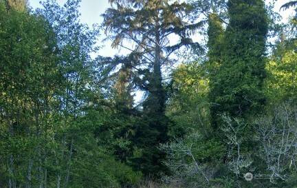 Hoquiam, WA 98550,0 Cosgrove ST