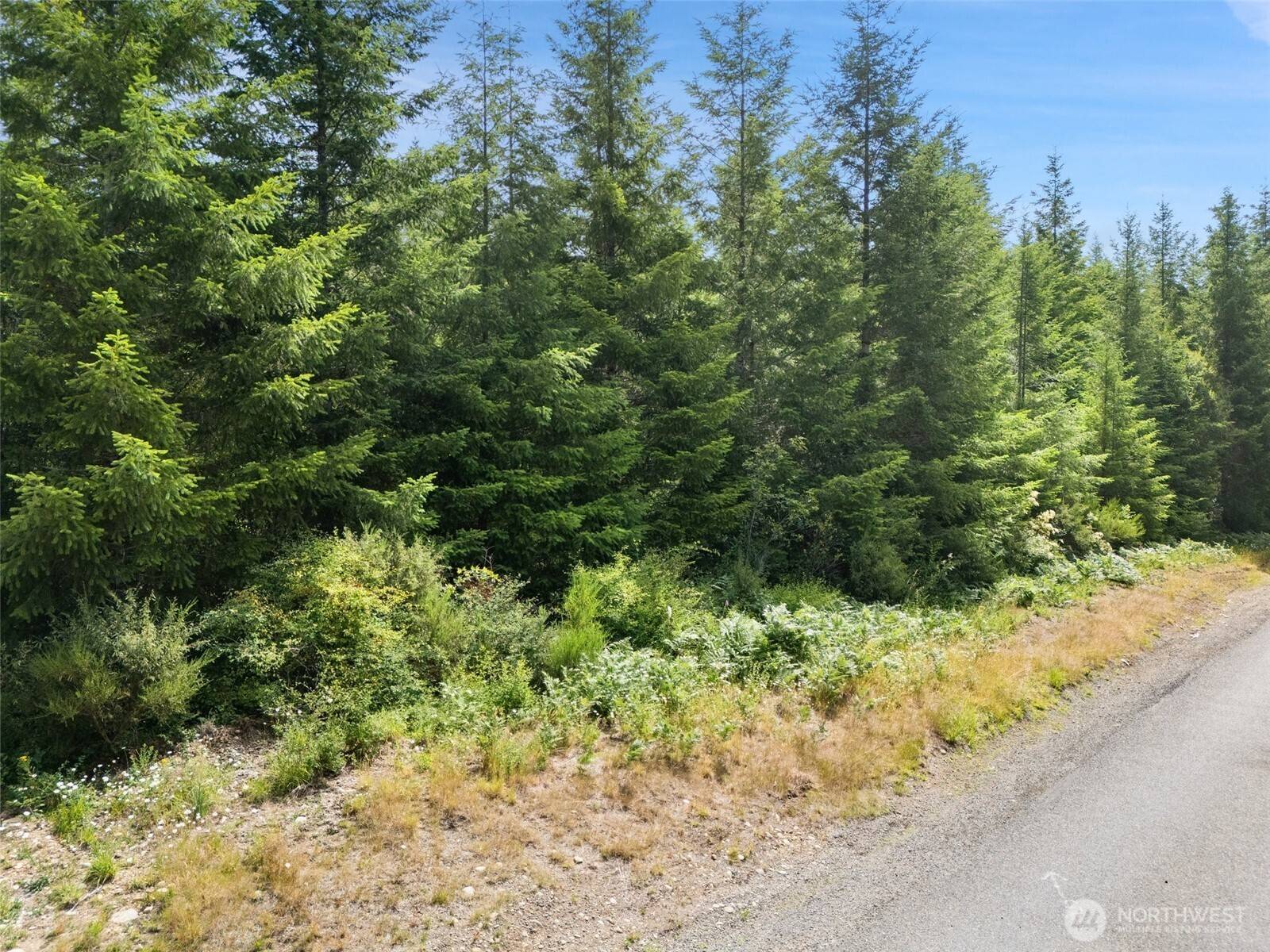 Elma, WA 98541,0 Lot A W Satsop RD E