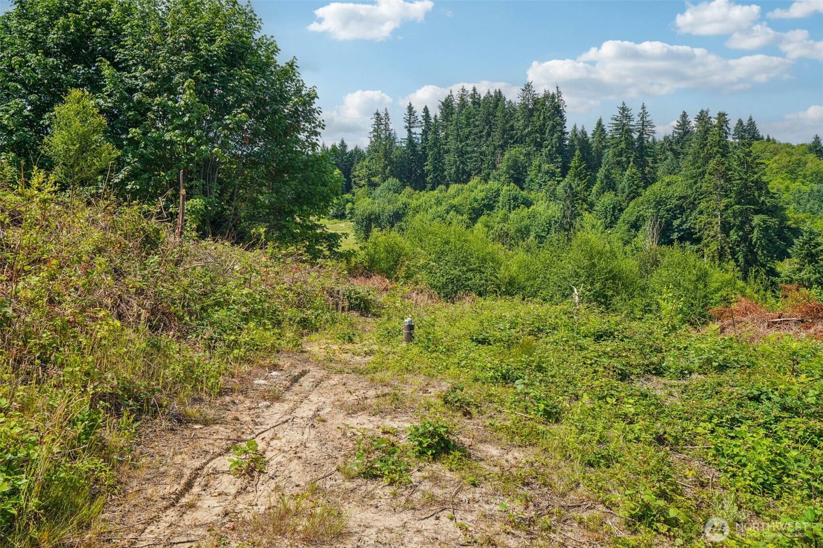 Castle Rock, WA 98611,1830 Hazel Dell RD #Lot 3