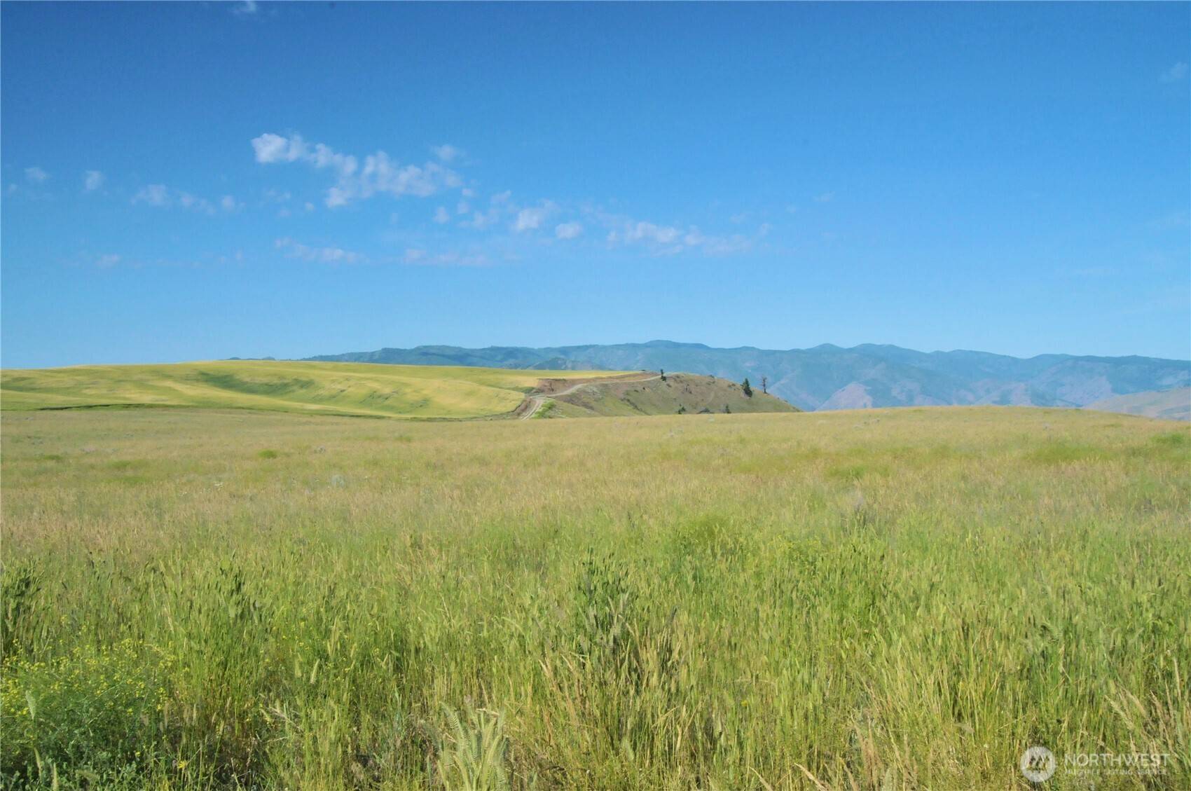 Waterville, WA 98858,0 Road South NW Tract #3