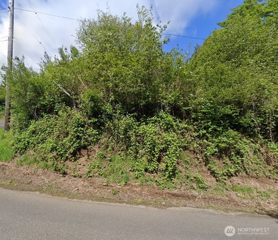 Hoquiam, WA 98550,0 Beacon Hill DR