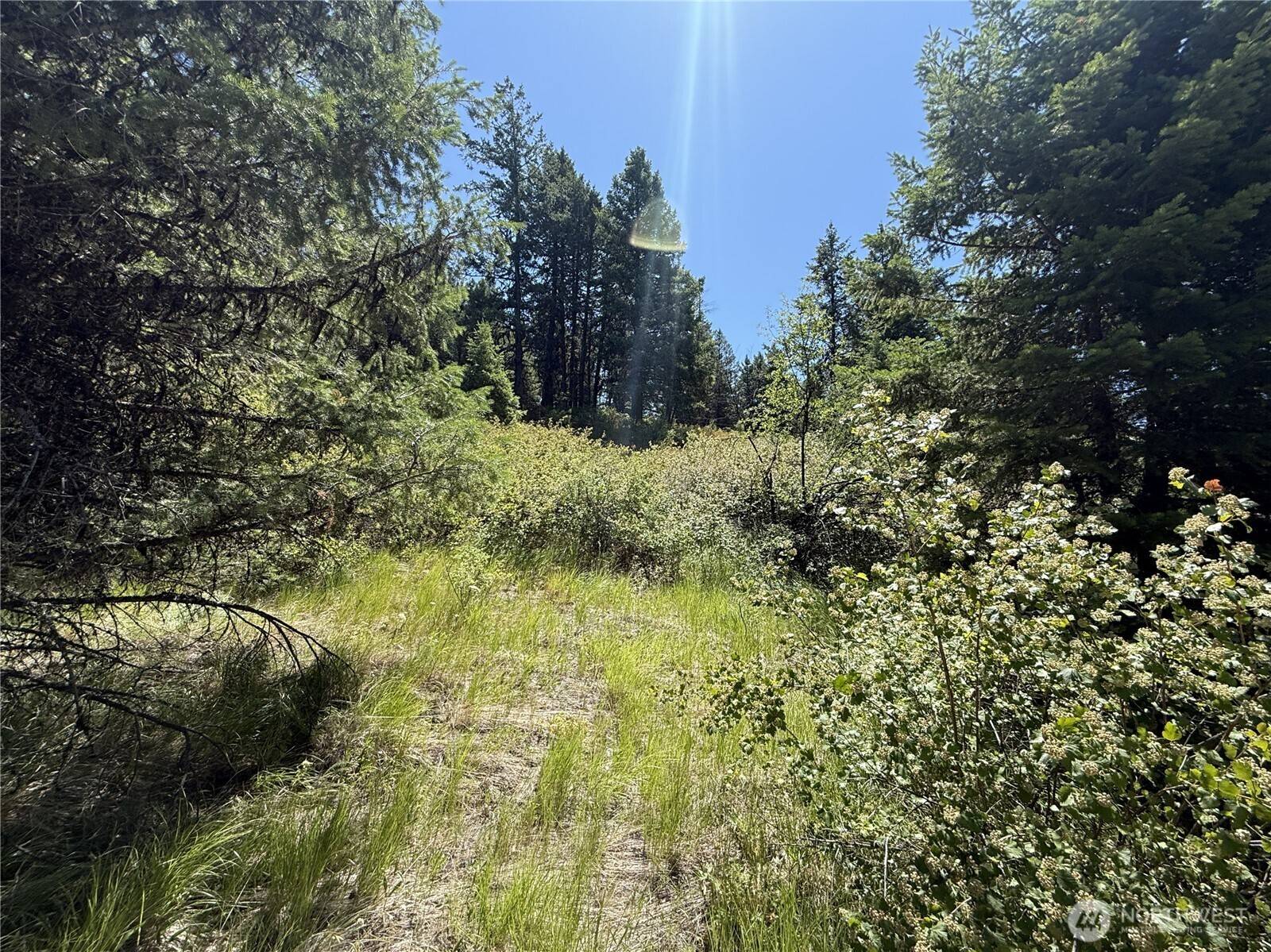Republic, WA 99166,135 Slippery Hill LN