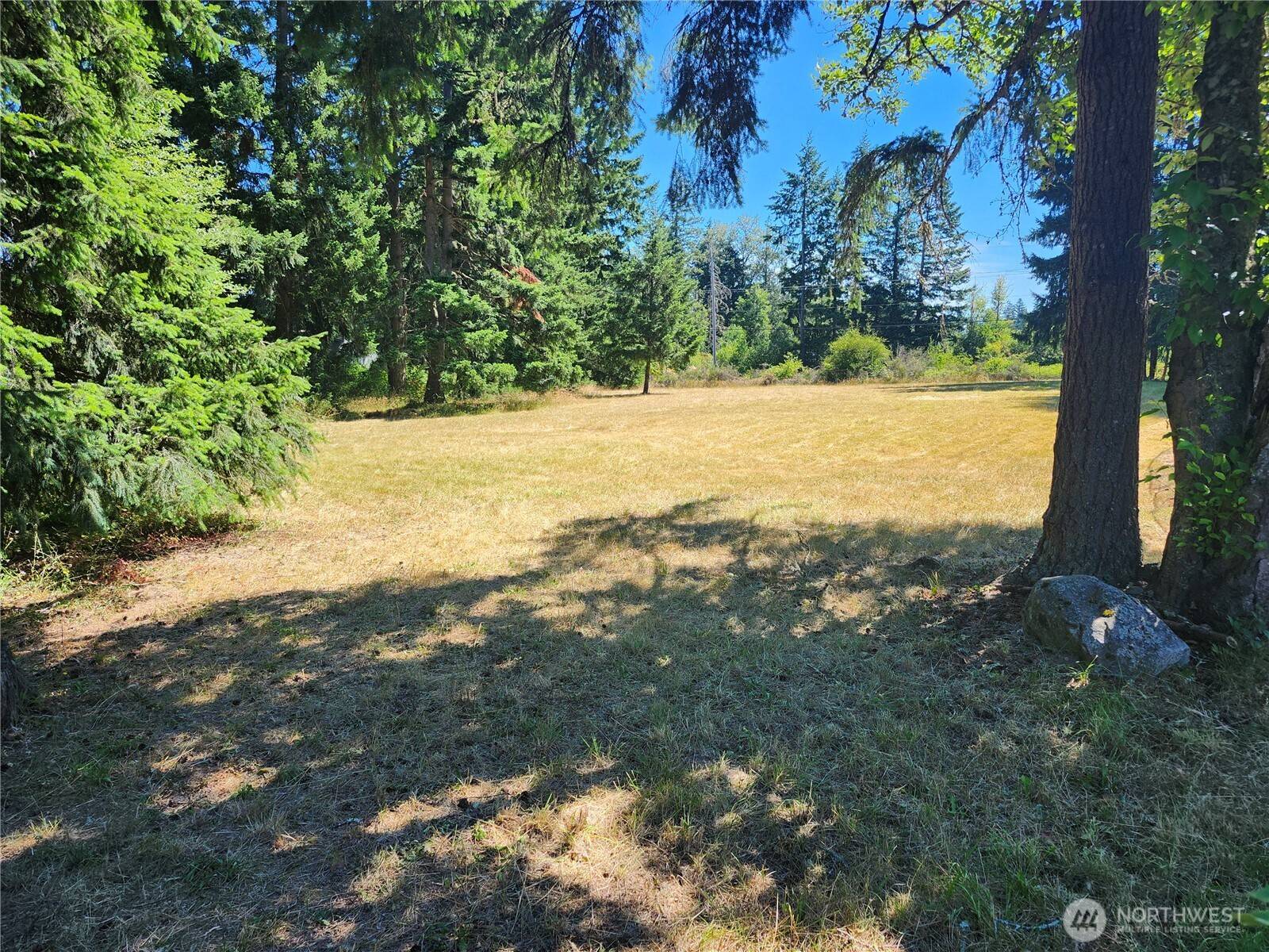 Eatonville, WA 98328,34412 Mountain HWY E