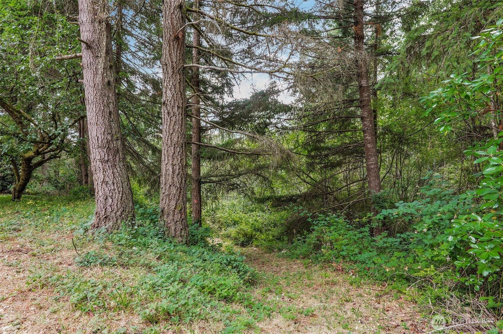 Port Orchard, WA 98367,12520 Lindi LN SW