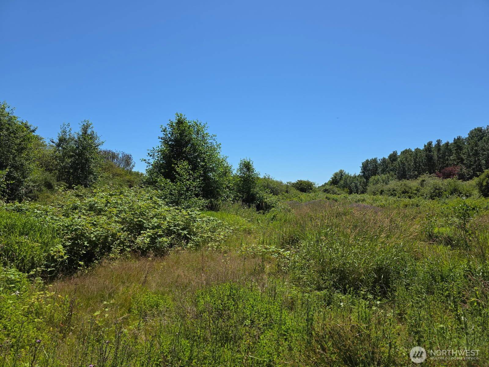 Point Roberts, WA 98281,0 Peltier Rd