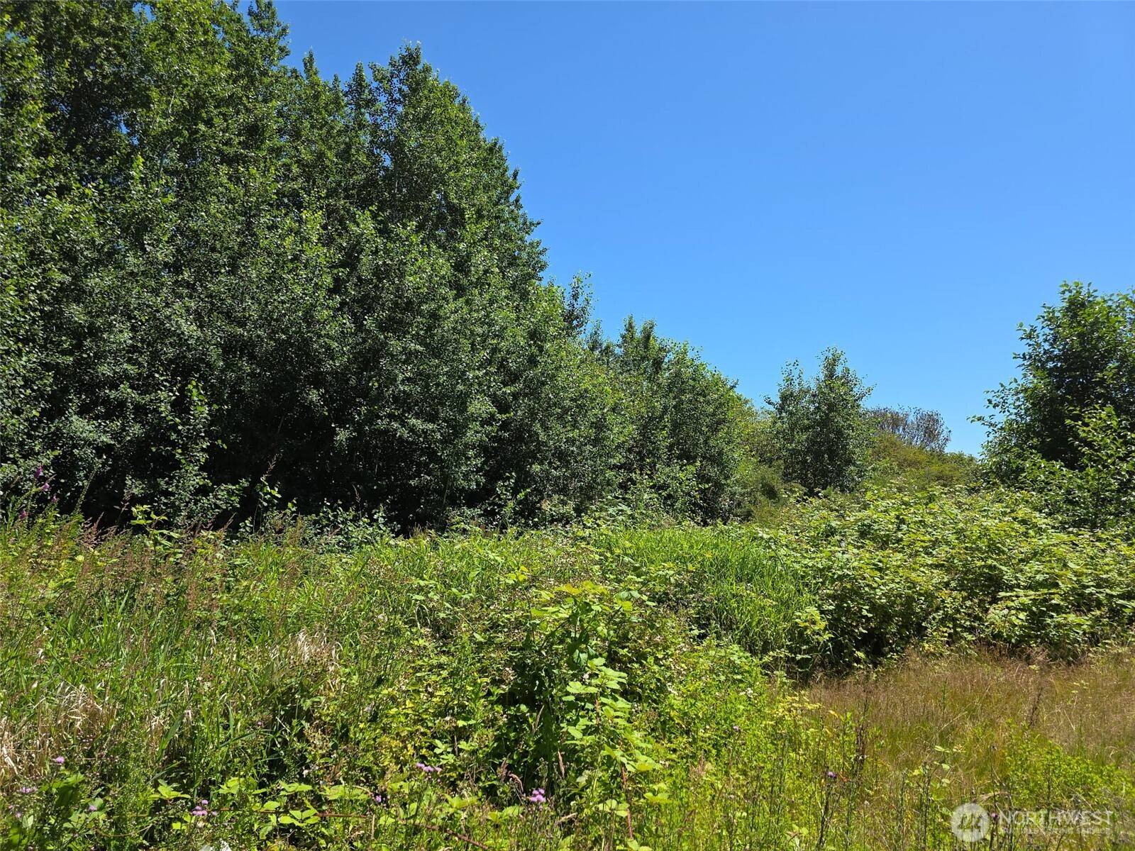 Point Roberts, WA 98281,0 Peltier Rd