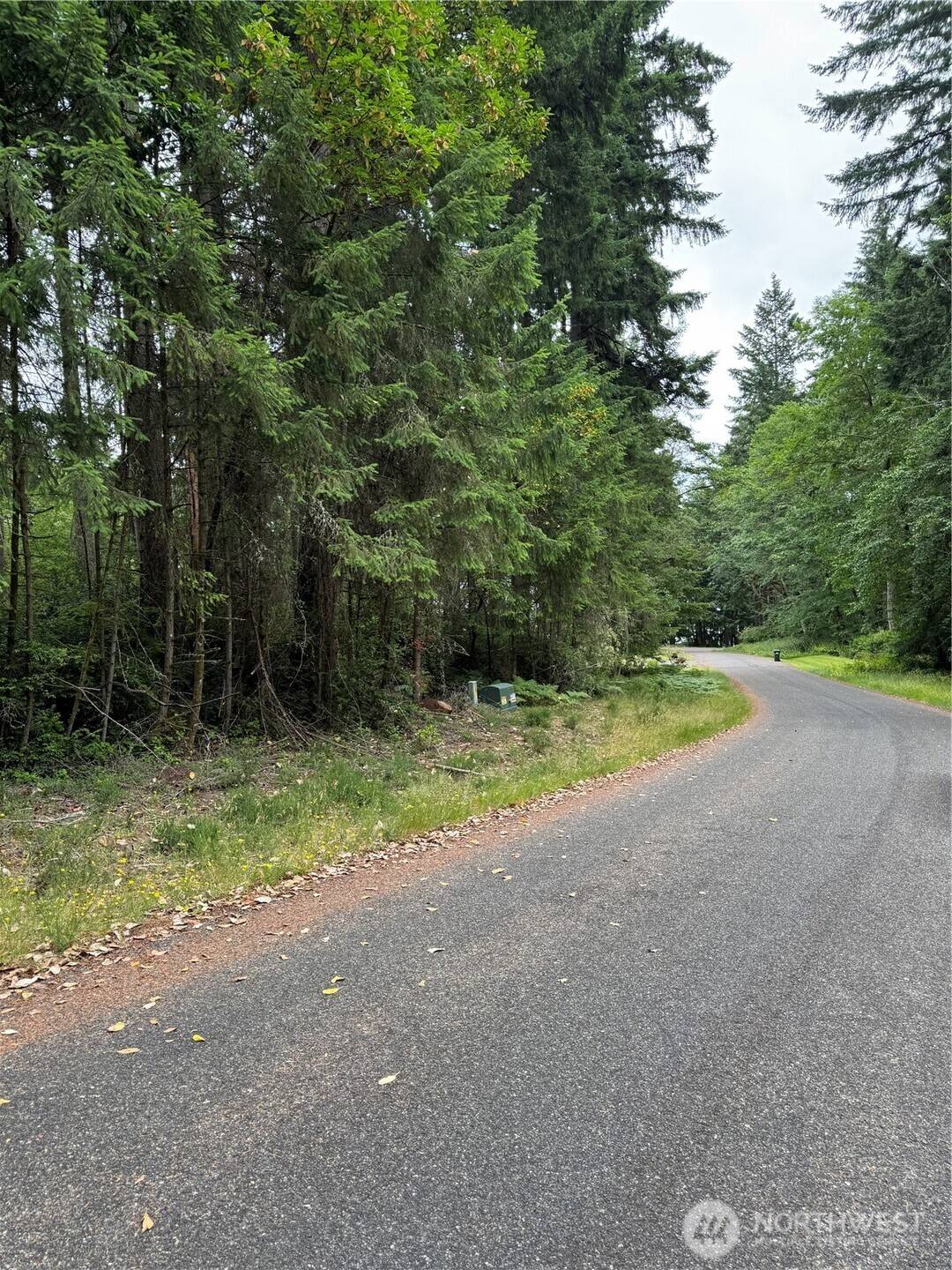 Anderson Island, WA 98303,10419 Matthews WAY