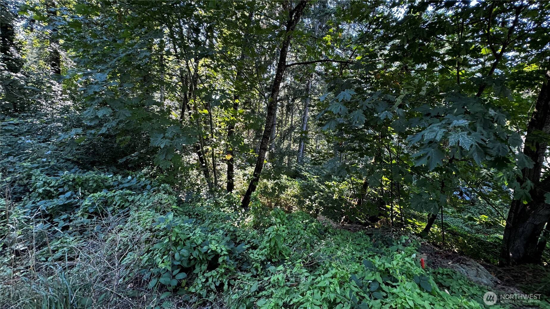Renton, WA 98059,14055 169th AVE SE