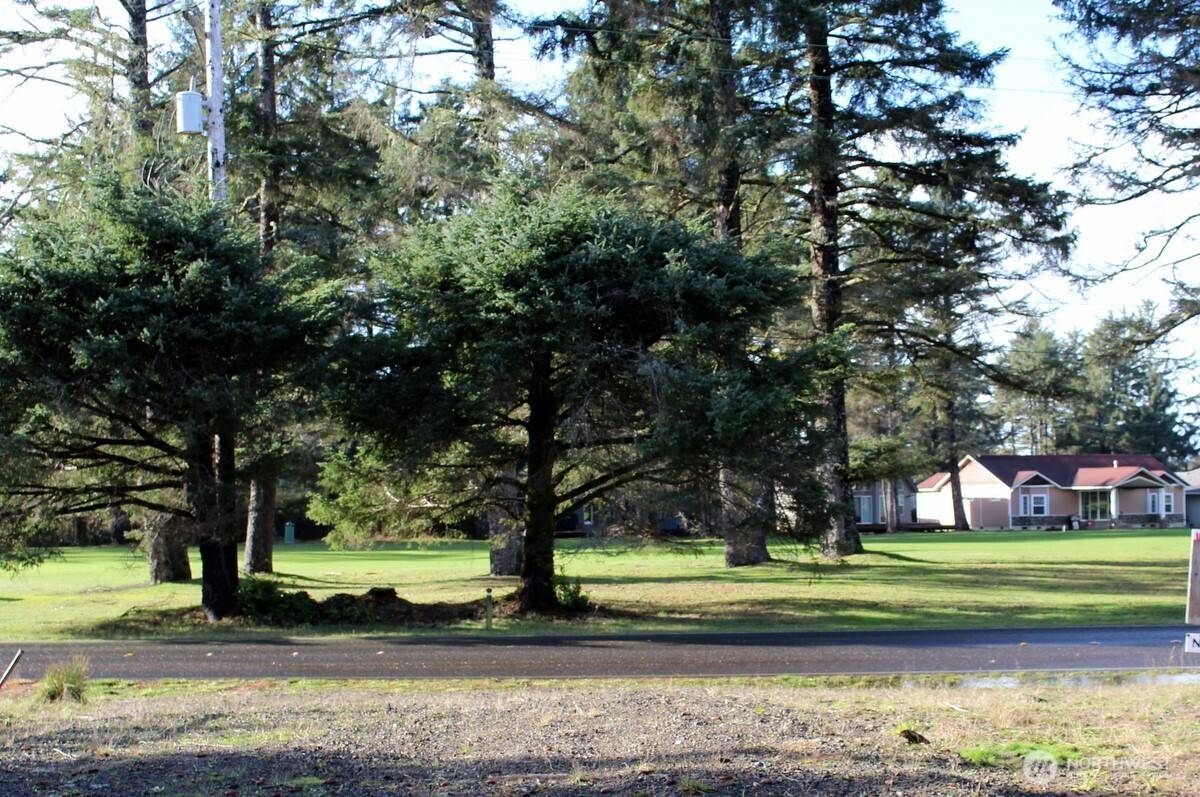 Ocean Shores, WA 98569,152 Dolphin AVE SE