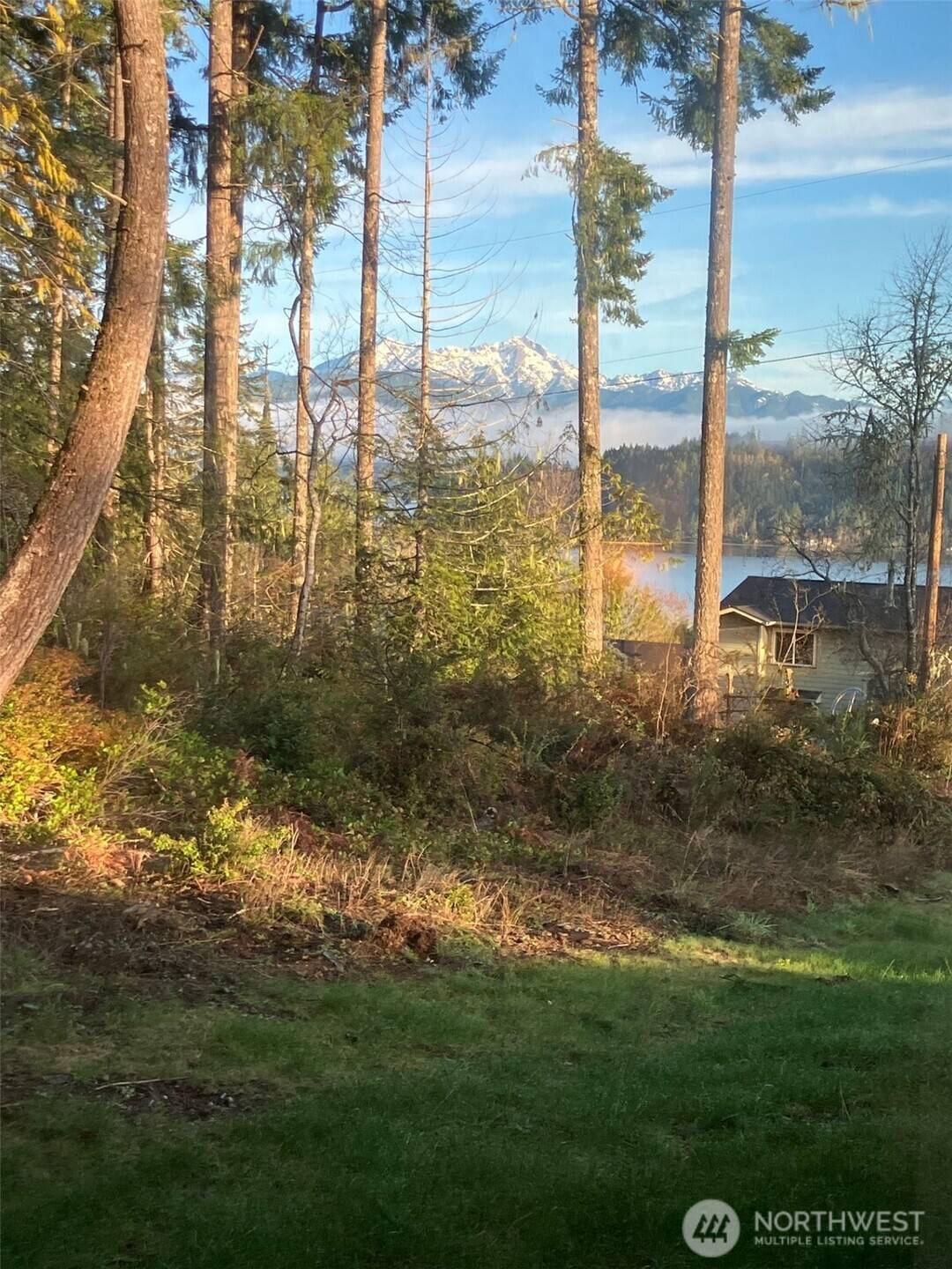 Union, WA 98592,360 E Mcreavy ST